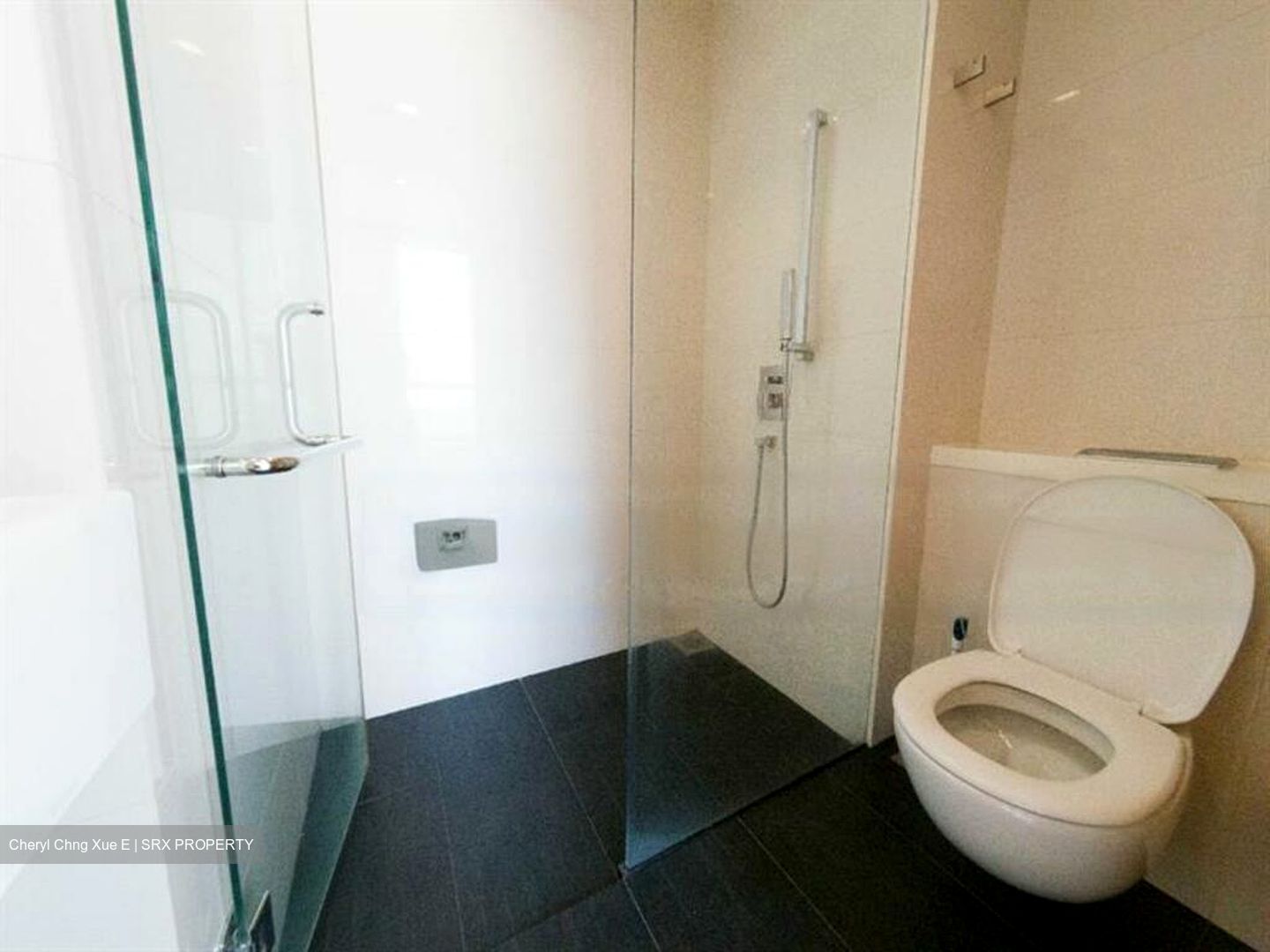 Lumiere (D2), Apartment #473028451